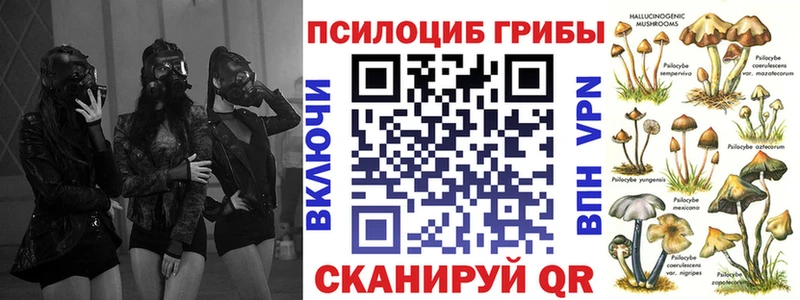 Купить  Фокино  Галлюциногенные грибы прущие грибы 